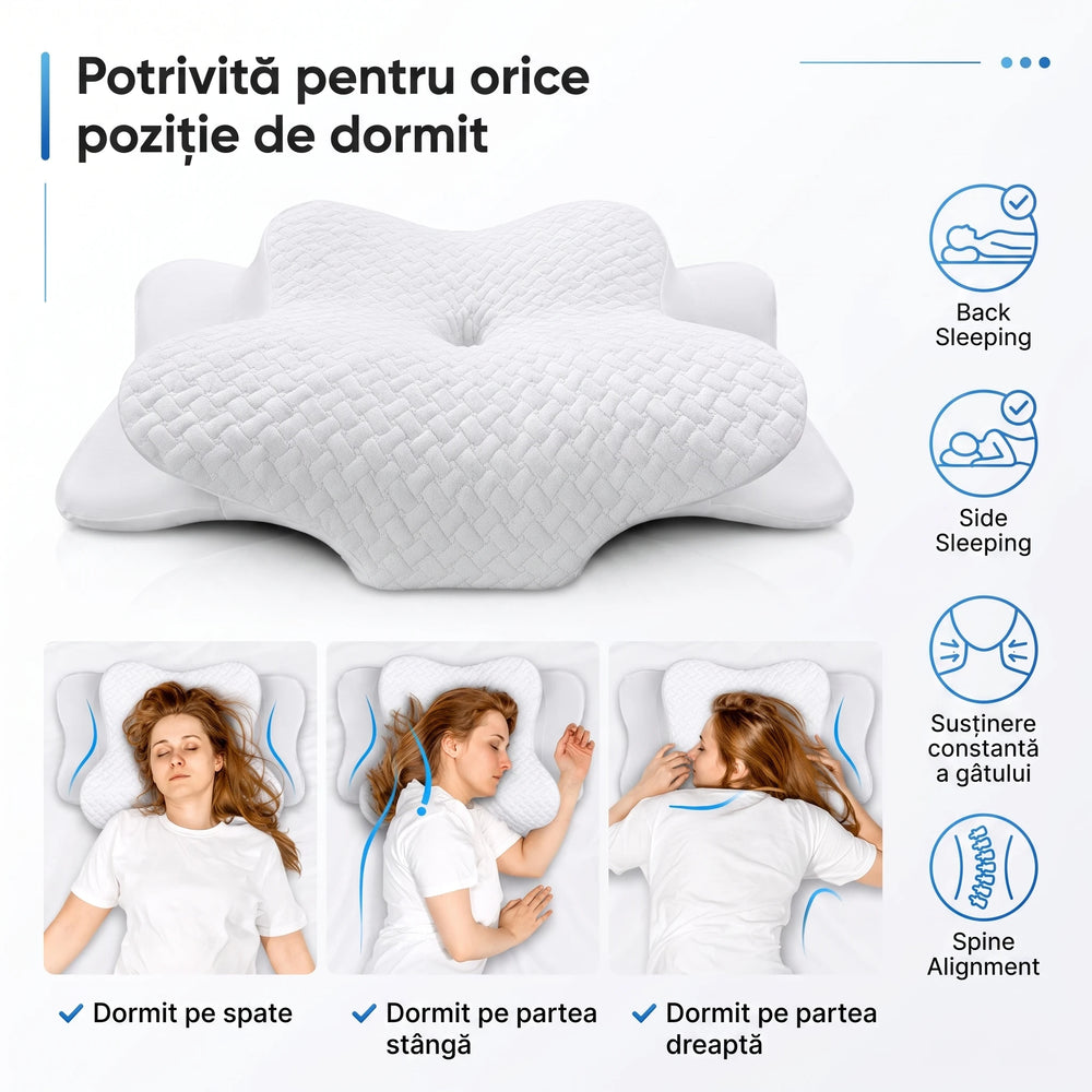 ORTO 289 - 2