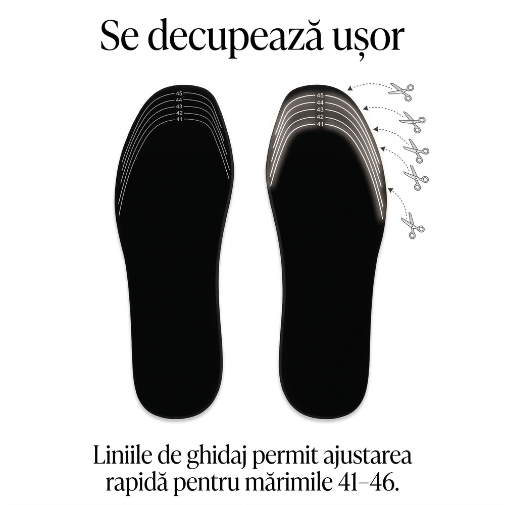 ORTO 288 - 4
